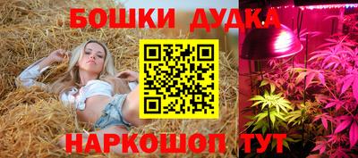 молекула духа Краснокаменск