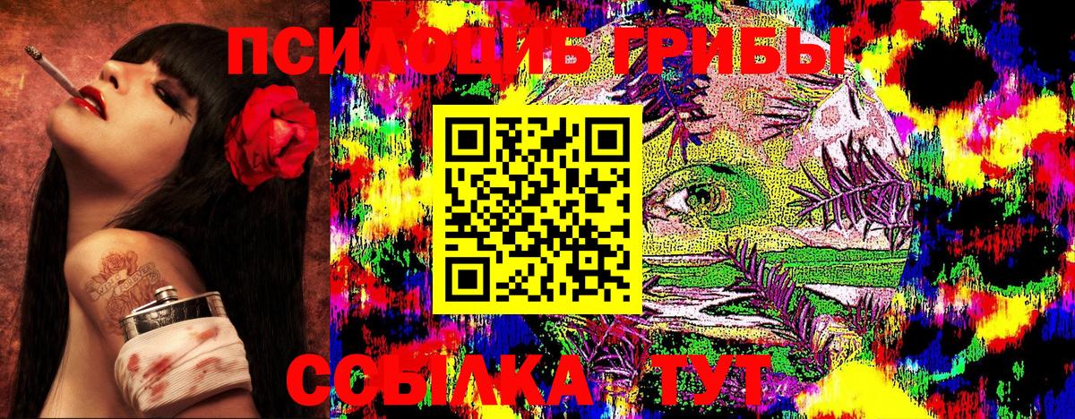 Галлюциногенные грибы Psilocybine cubensis Ханты-Мансийск
